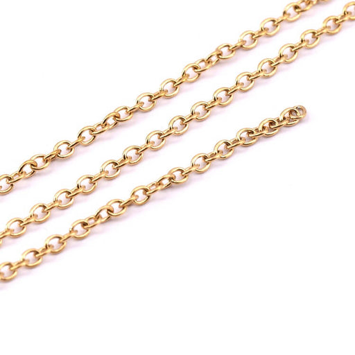 Kaufen Sie Perlen in Deutschland Ovale Maschenkette aus goldenem Edelstahl 3x2mm (1m)