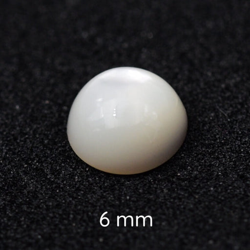 Kaufen Sie Perlen in Deutschland Runder Muschel-Cabochon 6mm (1)