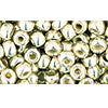 Kaufen Sie Perlen in Deutschland Ccpf558 - Toho rocailles perlen 6/0 galvanized aluminium (250g)